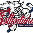Sollentuna logo