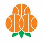 Umea Women logo