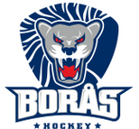 Boras logo