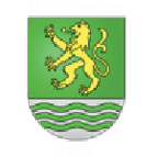 Paradiso logo