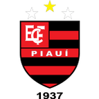 Flamengo PI logo