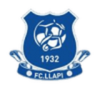 Llapi logo