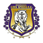 Heilongjiang Lava Spring logo