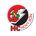 Novy Jicin logo