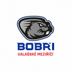 Valasske Mezirici logo