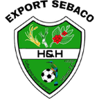 H&H Export logo