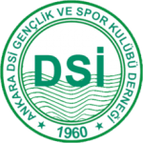 Ankara D.S.I. logo