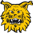 Ilves Tampere U20 logo