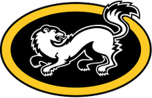 Karpat U20 logo