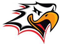 Vaasan Sport U20 logo