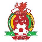 Briton Ferry logo