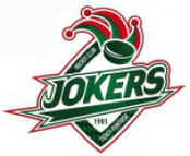 Tasman logo
