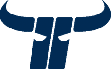 Kapfenberg Bulls logo
