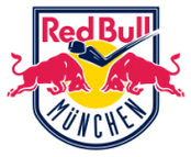 Dundee logo