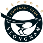 Seongnam FC logo