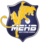 Massy Essonne HB logo