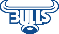 Bulls logo