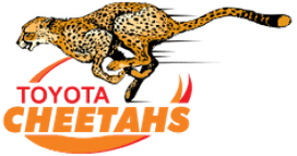 Cheetahs logo