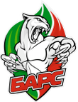 Bars Kazan logo