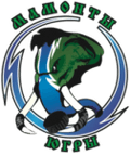 Odense logo