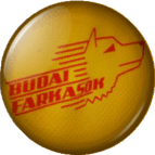 Almetyevsk logo