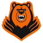 Perm logo