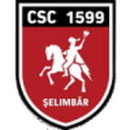 Viitorul Șelimbăr logo