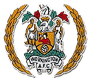 Workington logo