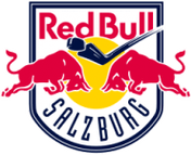 Salzburg logo