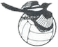 Wimborne Town logo