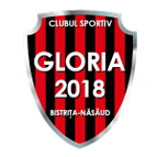 Bistrița Women logo