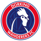 Dorking Wanderers logo