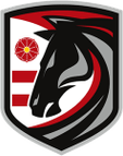 Zvezda Zvenigorod Women logo