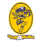 Zamalek SC logo