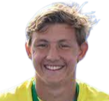 Niels Vink logo